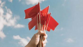 A person holding a bunch of tiny red flags.